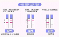 排卵试纸怎么看？排卵试纸强阳后会排卵多久？