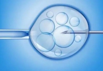 晋中私立医院供卵试管婴儿多少钱一次？