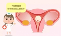 胚胎移植前后子宫内膜有多好？子宫内膜生长的几个阶段