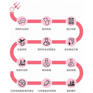 看懂试管婴儿全流程