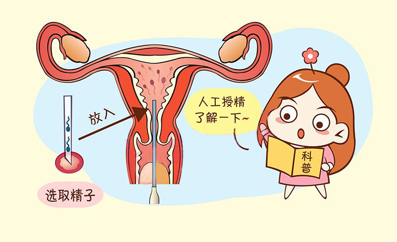 哪些因素会影响试管婴儿的治疗费用?