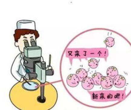 做试管婴儿到底需要准备多少钱?