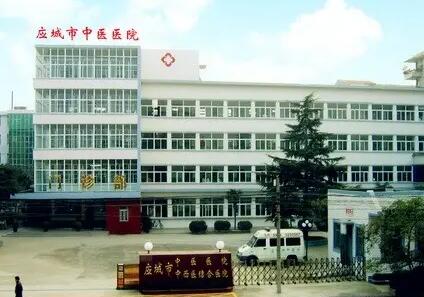 应城市中医医院