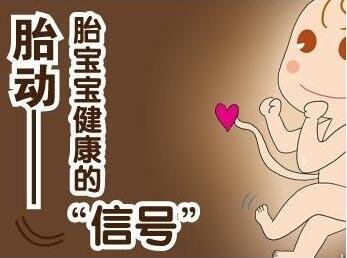 石家庄供卵公司中介