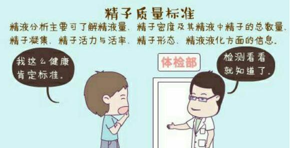 不动精子的比例多少为正常？提高活力只需三步走