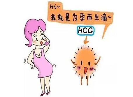 怀孕的前兆身体有啥反应呢?出现这7个症状就证明你怀孕了!