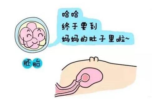 试管婴儿移植后几天着床降温