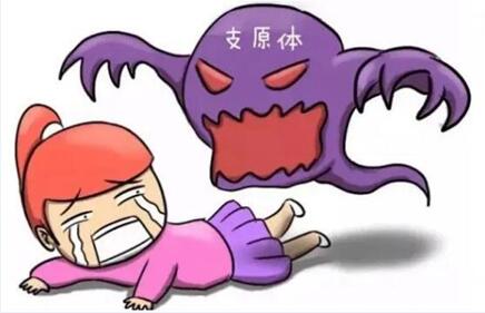 orch感染是什么?弓形体病的症状及治疗方法!