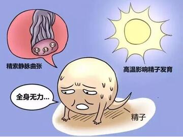 精子畸形率高会有什么危害?附精子异常和精子畸形有什么区别!