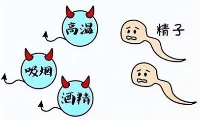 如何减少精子畸形率?只要能怀上都是好精子吗?