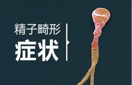精子头部畸形率多少才正常?什么因素造成精子头部畸形?