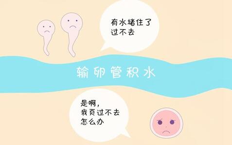 输卵管积水会导致不孕吗?输卵管积水具体有哪些症状呢?