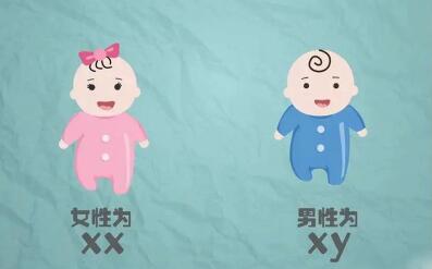 2024龙年生男生女清宫表怎么看?科学方法怎么看?