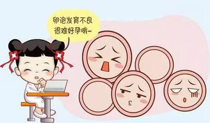 体外培养卵子的费用是多少?卵泡培养收费是按照个数来算吗? 