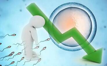 男人精子活力多少可以做人工授精?人工授精对精子要求!