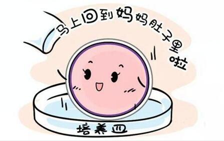 试管移植一个月正常孕囊多大正常?孕妇控糖后体重下降正常吗？