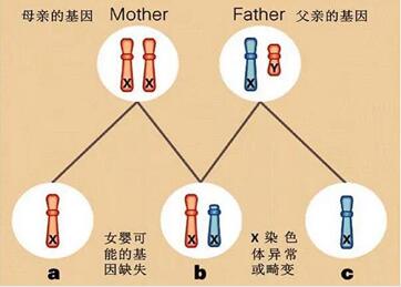 染色体异常能生小孩吗?染色体异常做试管婴儿成功率多少?