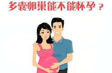 多囊卵巢做试管成功率高吗?想知道的都在这!