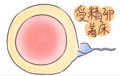 提高试管着床有什么方法?五个方法马到成功!