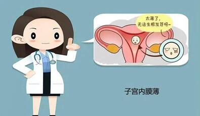 试管移植前怎么调理子宫内膜?四个小妙招提高试管着床!