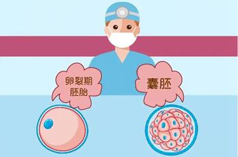子宫右侧附件囊肿还能做试管婴儿吗?想知道答案此文必看!