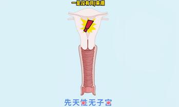 先天性无子宫在国内做移植手术费用是多少?