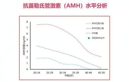 石家庄供卵公司