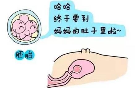 试管移植成功后为什么都需要保胎?