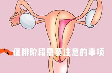 促排期间有炎症该怎么办?两种解决方法供您参考!