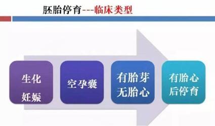 试管怀孕胎停是因为什么?试管优质胚胎为什么会胎停?