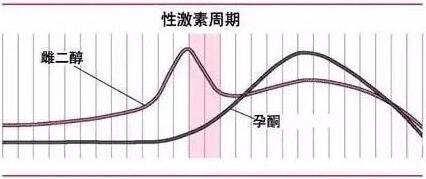 一个成熟卵泡对应多少雌二醇?