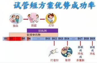 短方案剖析:试管中用时短、刺激大的一种促排方式!