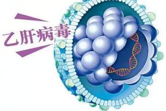 小三阳不是不能做试管婴儿!对胚胎着床率影响不大!