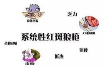 系统性红斑狼疮做试管成功率高不高?