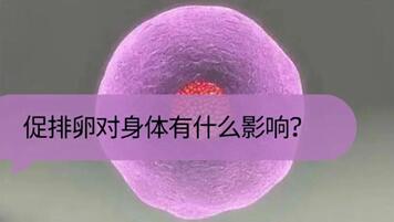 促排卵后卵巢过度刺激怎么保养?