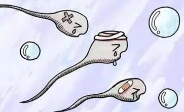 精液酸酸碱度对精子质量没影响吗?怎样调节男性精子酸碱度?