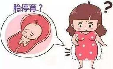 试管婴儿胎停的比自然怀孕的多吗?做好以下这些避免胎停的发生!