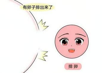 促排卵失败的原因都有哪些?一般是自身原因多!