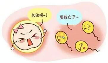 试管婴儿移植着床有什么感觉?
