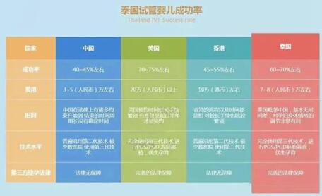 泰国同性试管婴儿费用多少?附试管促排、移植费用预估!