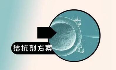 试管拮抗剂方案是什么意思?它有自己特定的适用人群!