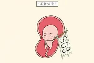 胚胎停止发育对母体的伤害大吗?小看会出大问题!