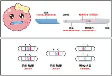 验孕的方法有哪些?几个小妙招教你验孕!