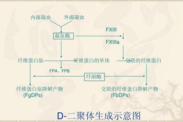 试管前D2聚体检查不可少,d2聚体高对试管的影响可真不小!