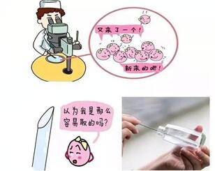 试管婴儿中为什么会出现取卵失败的情况?医生技术真不是主要的原因