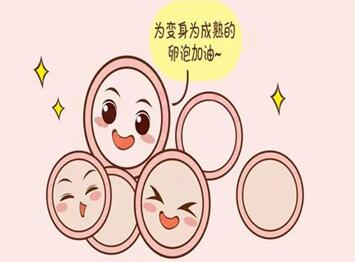 降调会减少基础卵泡吗?降调后卵泡变少的原因