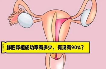 长方案移植鲜胚的成功率多高?试管婴儿长方案到移植需要多久