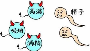 高温对精子会造成什么样的影响?精液液化跟环境温度有关系吗