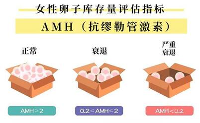 amh是什么检查项目?怎么检查AMH值