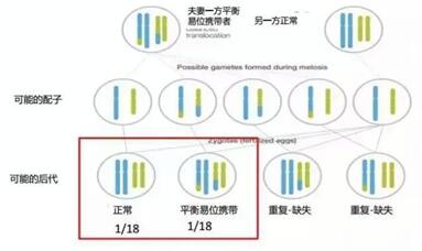 染色体罗氏易位可以做三代试管婴儿技术筛选吗?